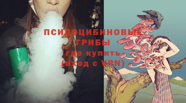 круглые Абаза