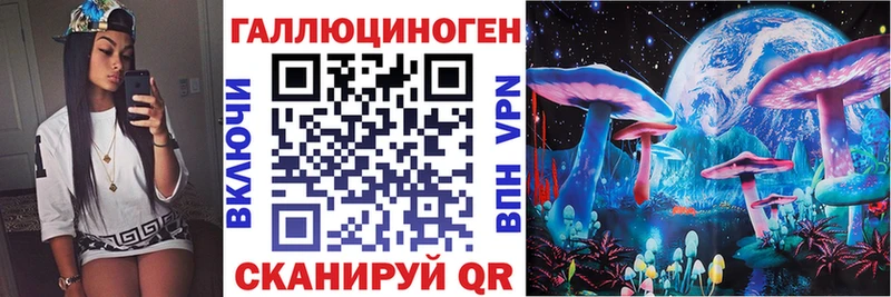 Галлюциногенные грибы Psilocybine cubensis  купить   Киржач 