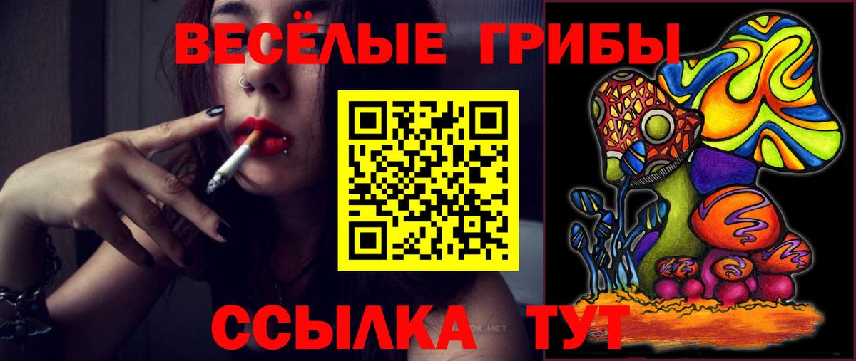 Киржач  Псилоцибиновые грибы мухоморы  Вход с VPN 