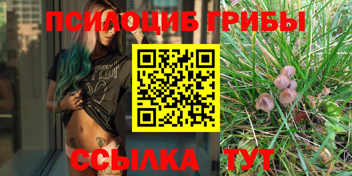 Галлюциногенные грибы MAGIC MUSHROOMS Киржач